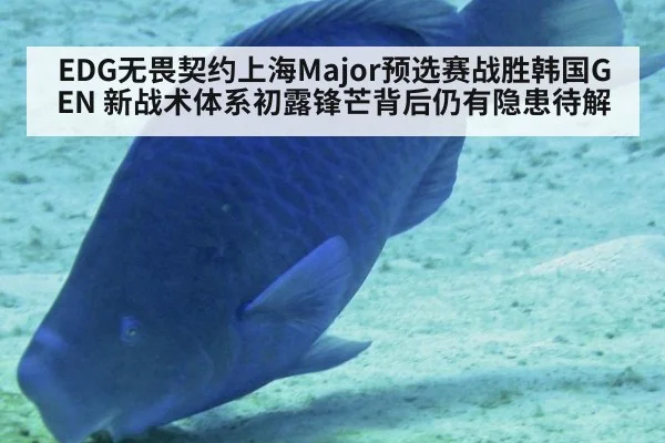 EDG无畏契约上海Major预选赛战胜韩国GEN 新战术体系初露锋芒背后仍有隐患待解